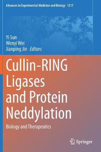 Cullin-RING Ligases and Protein Neddylation: Biology and Therapeutics