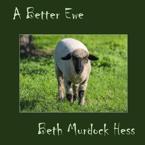 Cover image for A Better Ewe