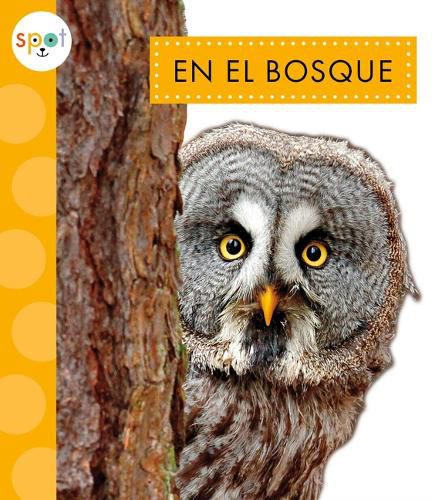 Cover image for En El Bosque