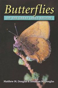 Cover image for Butterflies of the Great Lakes Region