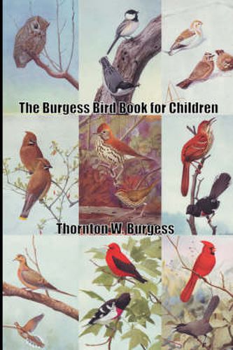 Cover image for The Burgess Bird Book for Children