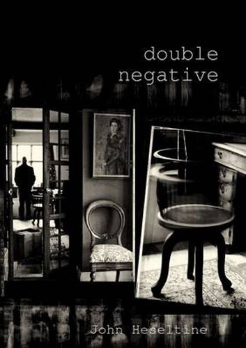 Cover image for Double Negative