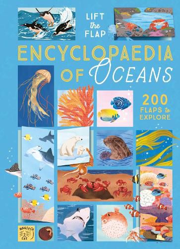 Cover image for The Lift-the-Flap Encyclopaedia of Oceans