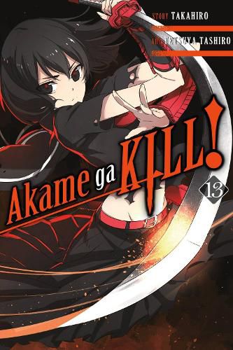 Cover image for Akame ga Kill!, Vol. 13