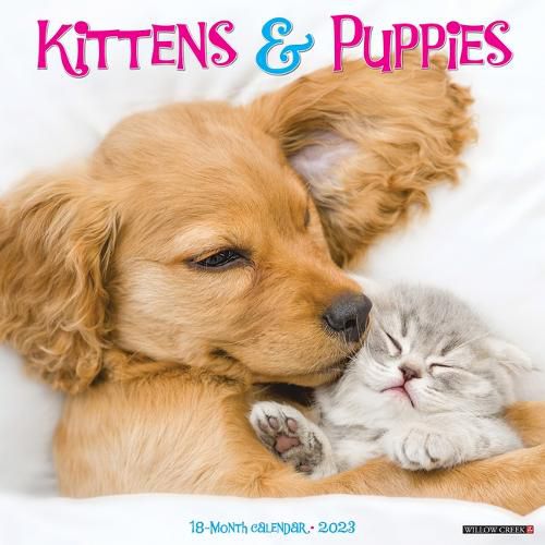 Cover image for Kittens & Puppies 2023 Wall Calendar