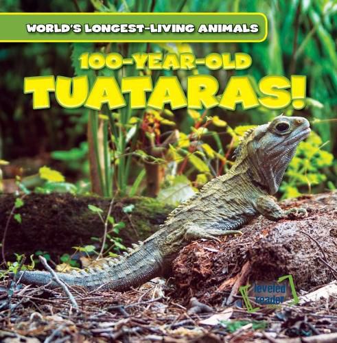 Cover image for 100-Year-Old Tuataras!