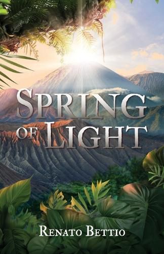 Cover image for Spring of Light