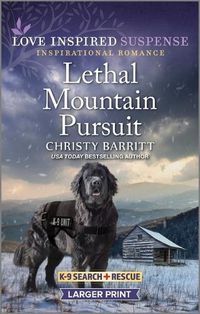 Cover image for Lethal Mountain Pursuit