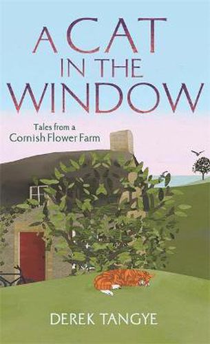 Cover image for A Cat in the Window: Tales from a Cornish Flower Farm