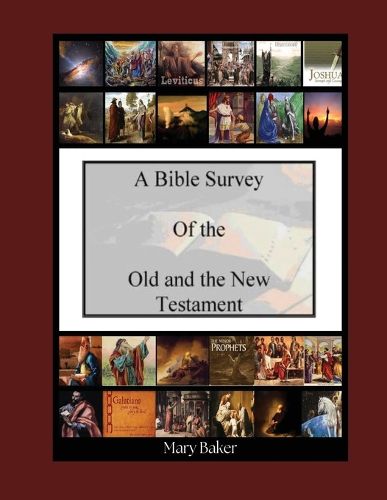 Cover image for Bible Survey of the Old and New Testament