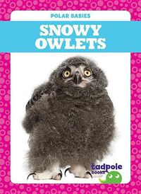 Cover image for Snowy Owlets