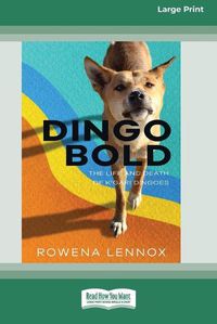 Cover image for Dingo Bold