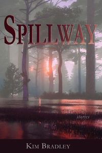 Cover image for Spillway