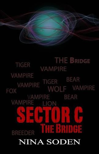 Cover image for SECTOR C The Bridge