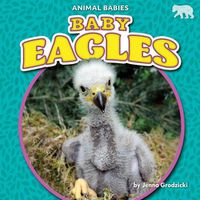 Cover image for Baby Eagles