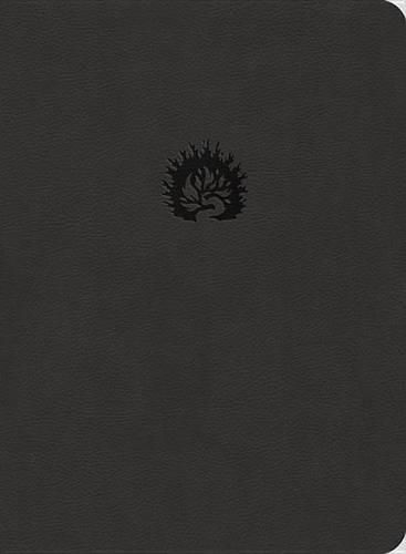 Cover image for ESV Reformation Study Bible, Charcoal