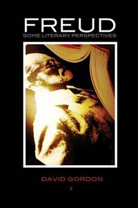 Cover image for Freud: Some Literary Perspectives