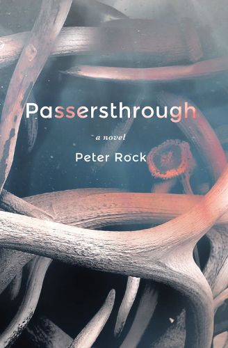 Cover image for Passersthrough