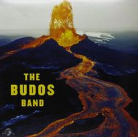 Cover image for Budos Band *** Vinyl