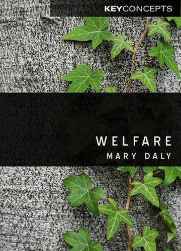 Cover image for Welfare