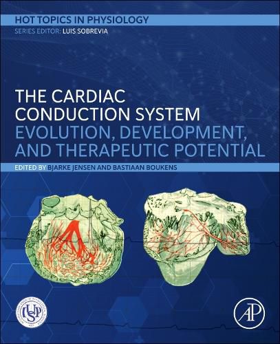 Cover image for The Cardiac Conduction System