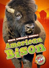 Cover image for American Bison