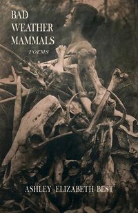 Cover image for Bad Weather Mammals