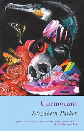 Cover image for Cormorant