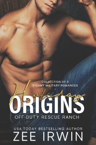 Cover image for Holiday Origins