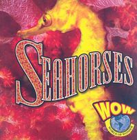 Cover image for Seahorses