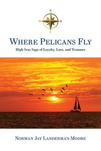 Cover image for Where Pelicans Fly