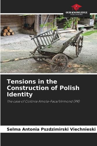 Cover image for Tensions in the Construction of Polish Identity