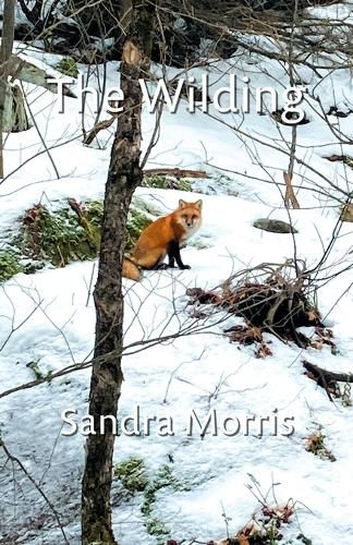 Cover image for The Wilding