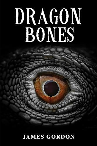 Cover image for Dragon Bones