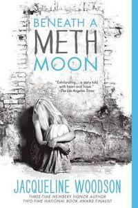 Cover image for Beneath a Meth Moon