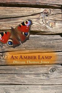 Cover image for An Amber Lamp