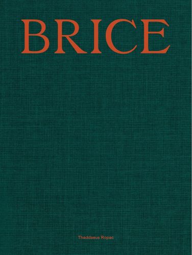 Cover image for Lisa Brice: Lives and Works