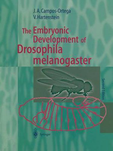 Cover image for The Embryonic Development of Drosophila melanogaster