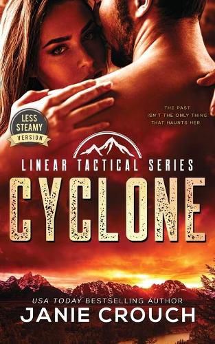 Cover image for Cyclone: Less Steamy Version