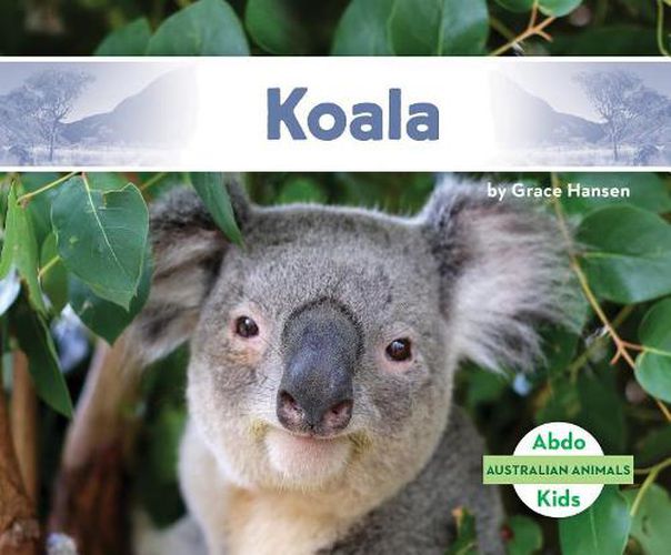 Cover image for Koala