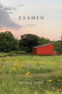 Cover image for Examen