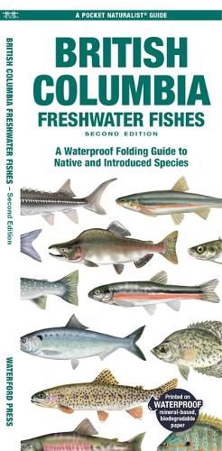 Cover image for British Columbia Freshwater Fishes