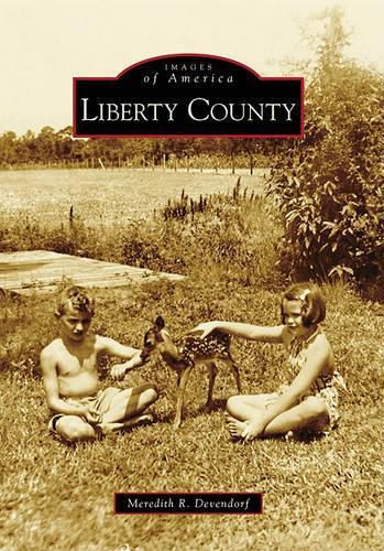 Cover image for Liberty County