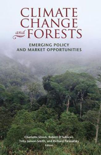 Climate Change and Forests: Emerging Policy and Market Opportunities