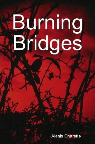Cover image for Burning Bridges