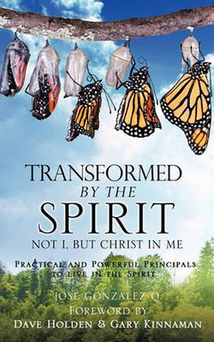 Cover image for Transformed by the Spirit