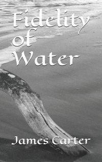 Cover image for Fidelty of Water