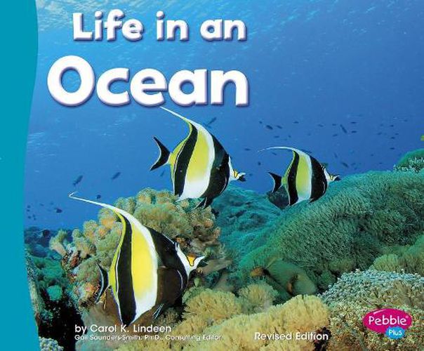 Cover image for Life in an Ocean (Living in a Biome)