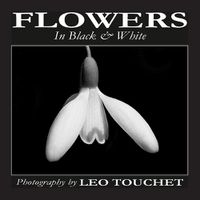 Cover image for Flowers in Black & White