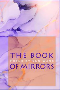 Cover image for The Book of Mirrors